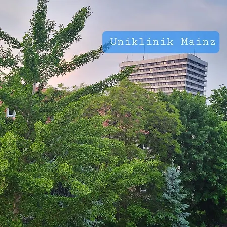 Schoenes An Der Uniklinik Homestay Mainz